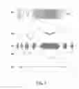 Fig. 03 - DEVICE FOR DETERMINING EXISTENCE OF WOBBLE, MEDIUM DISCRIMINATION DEVICE, METHOD OF DETERMINING EXISTENCE OF WOBBLE, AND MEDIUM DISCRIMINATION METHOD