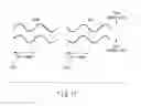 Fig. 71 - Storage medium, reproducing method, and recording method