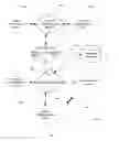 Fig. 01 - Internal/external network identifier