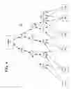 Fig. 06 - Simultaneous communications within controlled mesh network