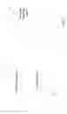 Fig. 02 - Time compressing video content