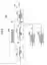 Fig. 06 - WIRELESS COMMUNICATION APPARATUS AND WIRELESS COMMUNICATION METHOD