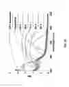 Fig. 17 - SHUTTER DEVICE FOR CAMERA