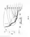 Fig. 22 - SHUTTER DEVICE FOR CAMERA