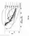 Fig. 23 - SHUTTER DEVICE FOR CAMERA