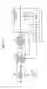 Fig. 18 - Digital coherent receiving apparatus