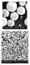 Fig. 01 - Titanium alloy
