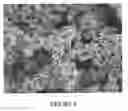 Fig. 07 - Titanium alloy