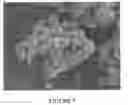 Fig. 08 - Titanium alloy