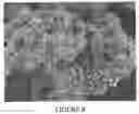 Fig. 09 - Titanium alloy