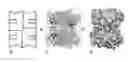 Fig. 01 - Streptavidin macromolecular adaptor and complexes thereof