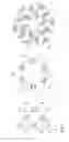 Fig. 04 - Streptavidin macromolecular adaptor and complexes thereof