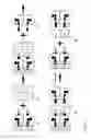 Fig. 22 - Streptavidin macromolecular adaptor and complexes thereof