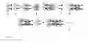 Fig. 32 - Streptavidin macromolecular adaptor and complexes thereof