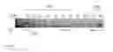 Fig. 37 - Streptavidin macromolecular adaptor and complexes thereof
