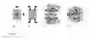 Fig. 43 - Streptavidin macromolecular adaptor and complexes thereof