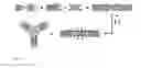 Fig. 45 - Streptavidin macromolecular adaptor and complexes thereof