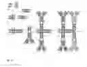 Fig. 48 - Streptavidin macromolecular adaptor and complexes thereof