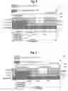 Fig. 03 - Grating-based sensor combining label-free binding detection and fluorescence amplification and readout system for sensor