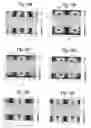 Fig. 08 - Grating-based sensor combining label-free binding detection and fluorescence amplification and readout system for sensor