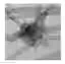 Fig. 01 - Redispersible agglomerate of fine carbon fibers and method for producing thereof