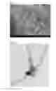Fig. 02 - Redispersible agglomerate of fine carbon fibers and method for producing thereof