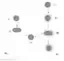 Fig. 02 - PARTICLES WITH INDUCIBLE CHANGE OF SHAPE