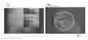 Fig. 01 - Uses of Sperm Membrane Protein OBF