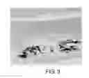 Fig. 04 - METHOD OF FIXING AND EXPRESSING PHYSIOLOGICALLY ACTIVE SUBSTANCE