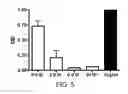 Fig. 06 - METHOD OF FIXING AND EXPRESSING PHYSIOLOGICALLY ACTIVE SUBSTANCE