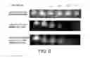 Fig. 07 - METHOD OF FIXING AND EXPRESSING PHYSIOLOGICALLY ACTIVE SUBSTANCE