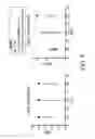 Fig. 09 - METHOD OF FIXING AND EXPRESSING PHYSIOLOGICALLY ACTIVE SUBSTANCE