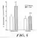 Fig. 04 - USE OF CREATINE OR CREATINE COMPOUNDS FOR SKIN PRESERVATION