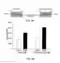 Fig. 06 - COMBINATION THERAPY FOR CHRONIC DERMAL ULCERS