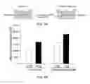 Fig. 07 - COMBINATION THERAPY FOR CHRONIC DERMAL ULCERS