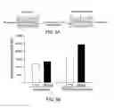 Fig. 09 - COMBINATION THERAPY FOR CHRONIC DERMAL ULCERS