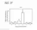 Fig. 08 - MESP1 AS A MASTER REGULATOR OF MULTIPOTENT CARDIOVASCULAR PROGENITOR SPECIFICATION AND USES THEREOF