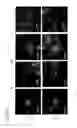 Fig. 32 - MESP1 AS A MASTER REGULATOR OF MULTIPOTENT CARDIOVASCULAR PROGENITOR SPECIFICATION AND USES THEREOF
