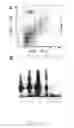 Fig. 05 - Mesenchymal precursor cell