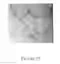 Fig. 30 - Mesenchymal precursor cell