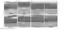 Fig. 01 - HUMAN SKIN SUBSTITUTES EXPRESSING IL-12