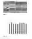Fig. 09 - HUMAN SKIN SUBSTITUTES EXPRESSING IL-12