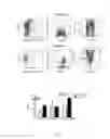 Fig. 02 - Mesenchymal Stem Cells Grown Under Hypoxic Conditions: Compositions, Methods and Uses Therefor