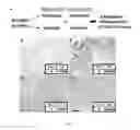 Fig. 06 - Mesenchymal Stem Cells Grown Under Hypoxic Conditions: Compositions, Methods and Uses Therefor