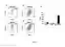 Fig. 08 - Mesenchymal Stem Cells Grown Under Hypoxic Conditions: Compositions, Methods and Uses Therefor