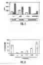 Fig. 09 - MESENCHYMAL STEM CELLS AND USES THEREFOR