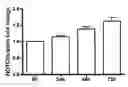 Fig. 01 - METHOD FOR GENERATING ISLET BETA CELLS FROM DEDIFFERENTIATED EXOCRINE PANCREATIC CELLS