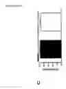 Fig. 22 - METHOD FOR GENERATING ISLET BETA CELLS FROM DEDIFFERENTIATED EXOCRINE PANCREATIC CELLS