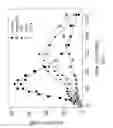 Fig. 04 - Chimeric factor VII molecules