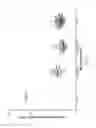 Fig. 06 - Chimeric factor VII molecules